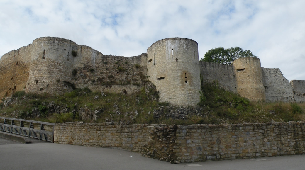 Falaise Chateau (historiallinen linna), Falaise, Calvados (departementti), Ranska