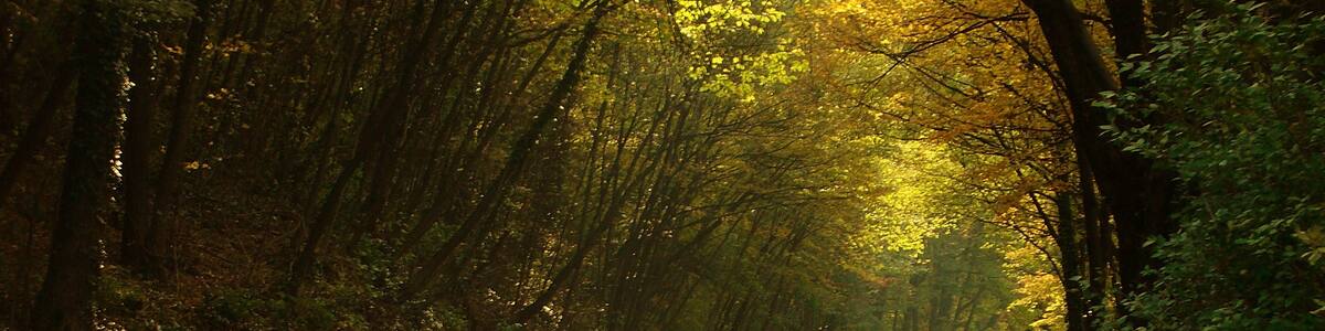 Photo "Carabbia, Lugano, Switzerland" by marco mini (Creative Commons Attribution 3.0) / Cropped from original