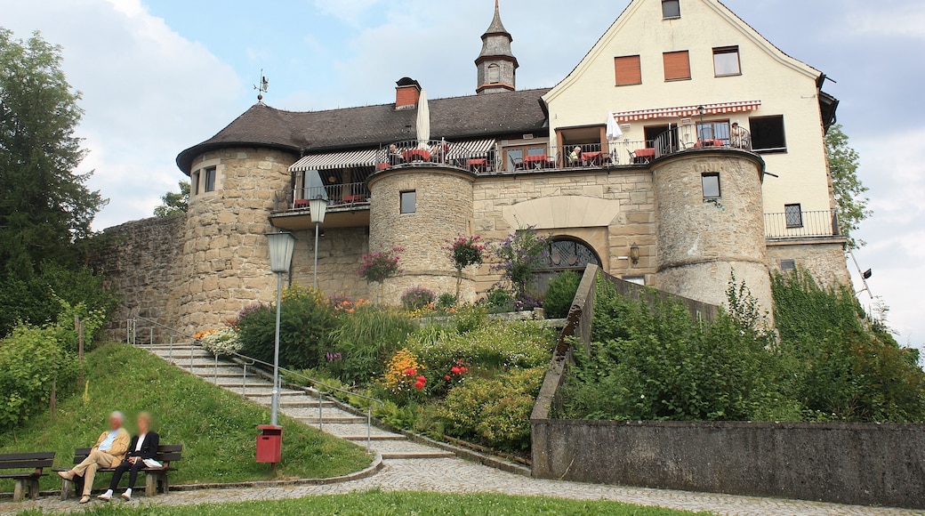 Foto „Burg Hohenbregenz“ von Dguendel (page does not exist) (CC BY)/zugeschnittenes Original