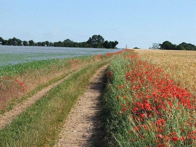 Foto „East Walton“ von Greg Chapman (CC BY-SA)/zugeschnittenes Original