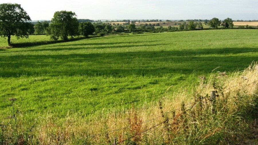 Photo "Pasture between Beeby and South Croxton. From SK 680 092, looking due north. The farmland is dotted with trees and falls away from the road fairly sharply. The trees across the centre of the photograph are along the field boundary in the middle of the square." by Kate Jewell (Creative Commons Attribution-Share Alike 2.0) / Cropped from original