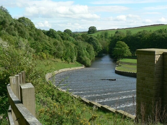 Foto “Lindley” tomada por RichTea (CC BY-SA); recorte de la original