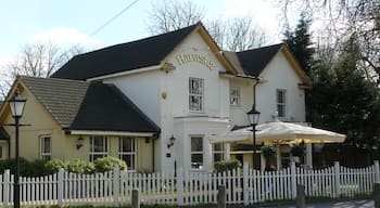 The Mill House Public House, Mitcham Common Generally very busy at lunchtimes, and popular with families.