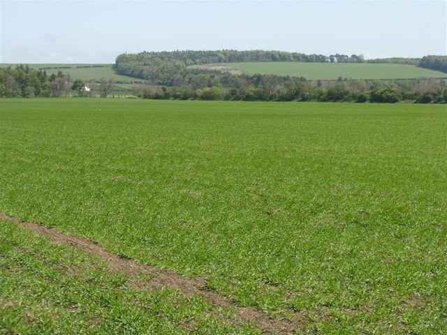 Farmland at Buxley Looking south east towards Winton Hill