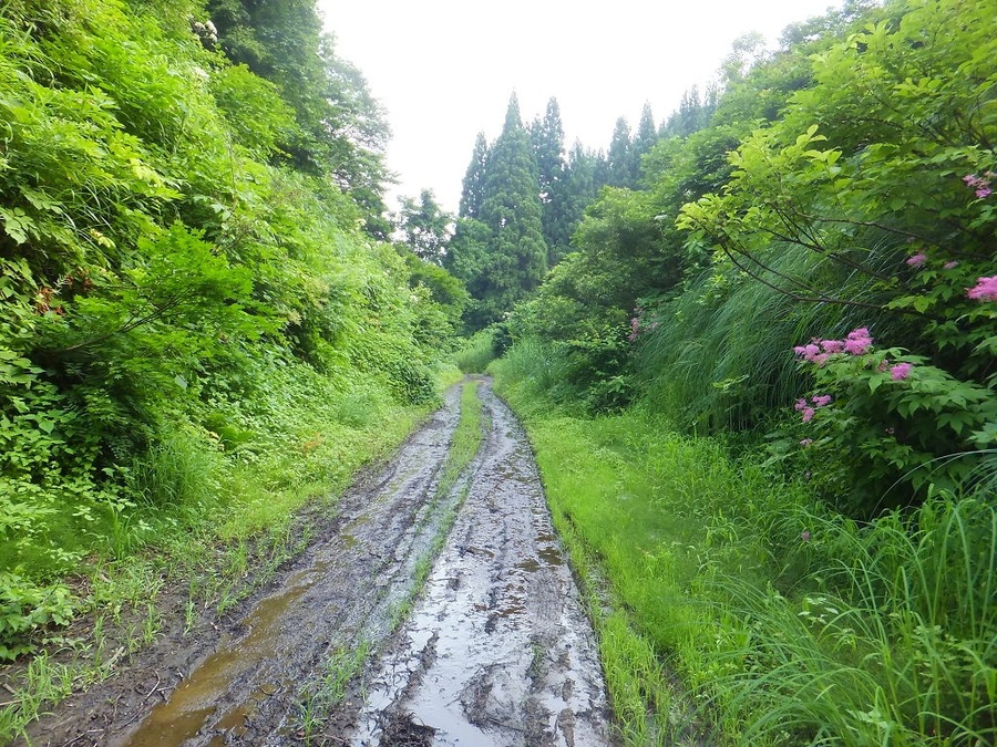 Inubushi, Tokamachi, Niigata Prefecture 942-1504, Japan
