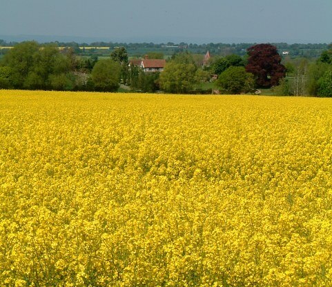 Photo "Pontesbury" by Andrew Bennett (CC BY-SA) / Cropped from original