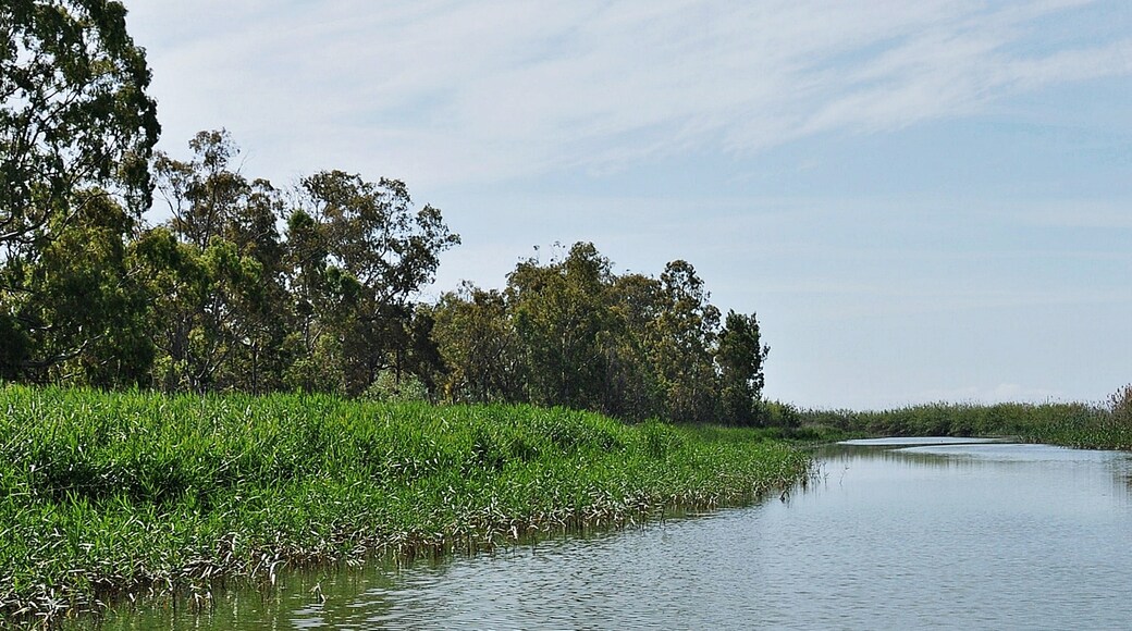 « Parc naturel du delta de l'Èbre», photo de Alberto-g-rovi (CC BY-SA) / rognée de l’originale