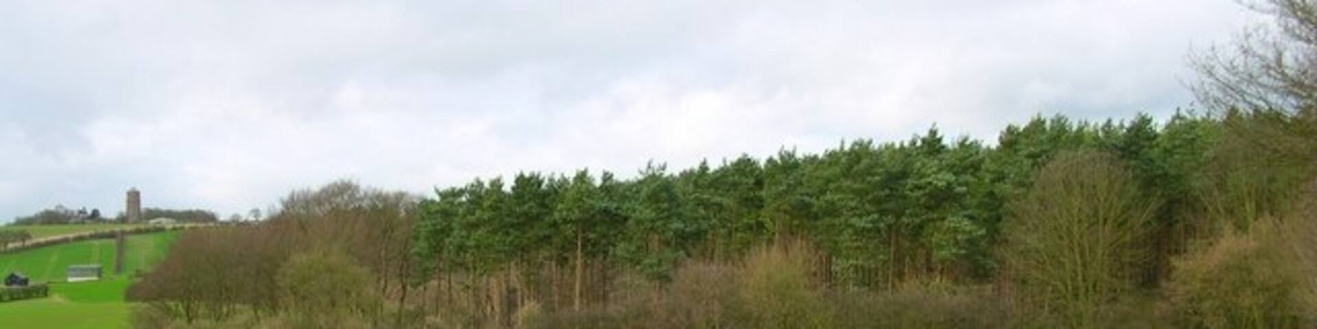 Balsham, Cambridge, England, GroĂbritannien