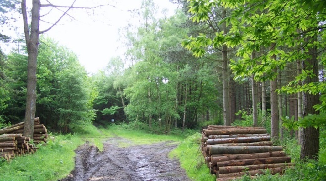 Photo "Easebourne" by Trish Steel (CC BY-SA) / Cropped from original