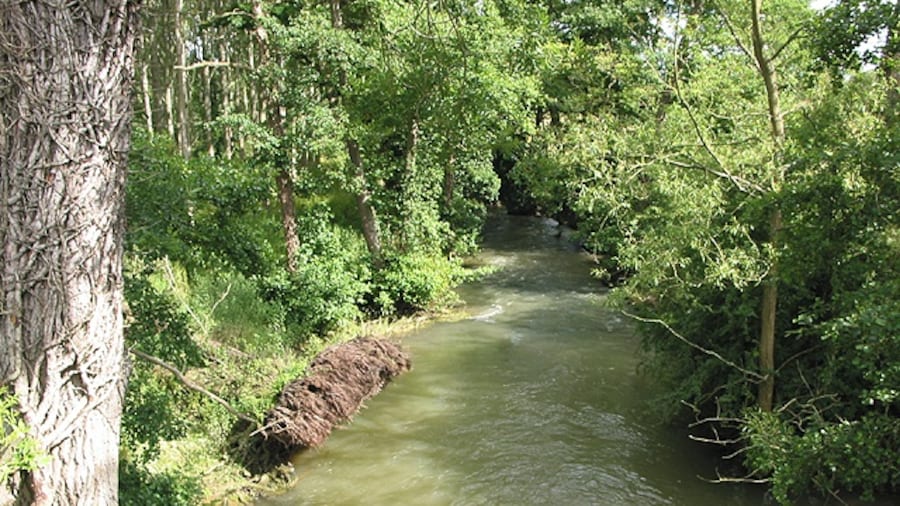 Photo "River Evenlode running downstream nr Charlbury" by Pauline Eccles (Creative Commons Attribution-Share Alike 2.0) / Cropped from original