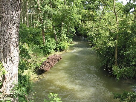 value: "River Evenlode running downstream nr Charlbury"
