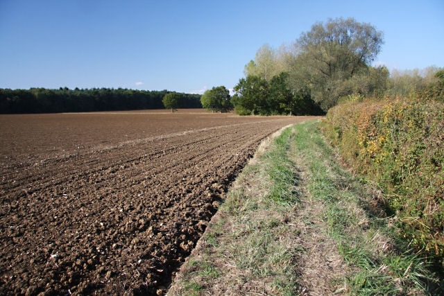 Foto „Rushbrooke mit Rougham“ von Bob Jones (CC BY-SA)/zugeschnittenes Original