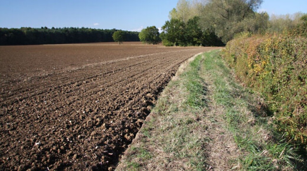 Foto „Rushbrooke mit Rougham“ von Bob Jones (CC BY-SA)/zugeschnittenes Original