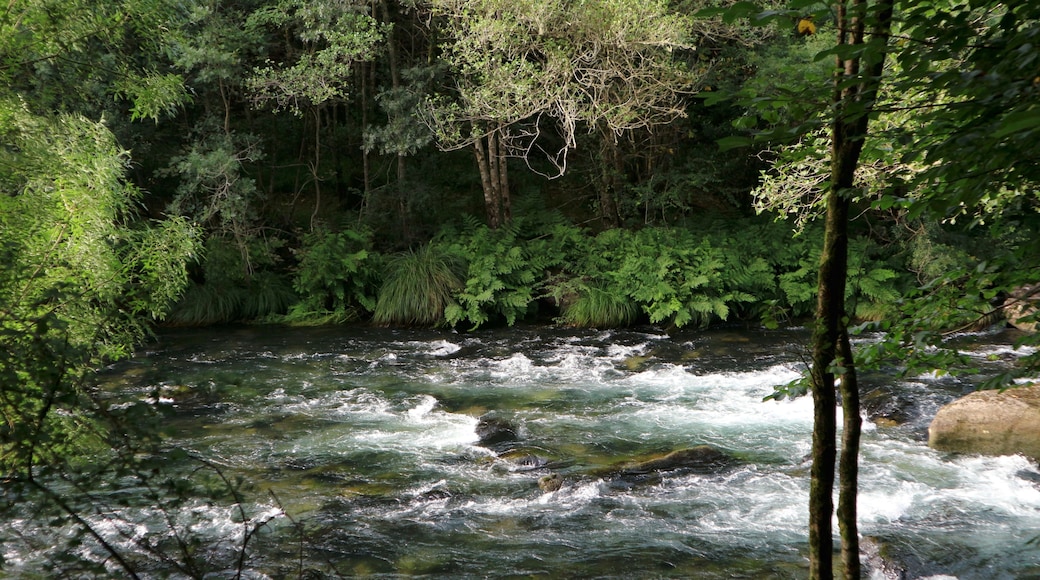 Foto "Pontedeume" de Mgl.branco (page does not exist) (CC BY-SA) / Recortada de la original