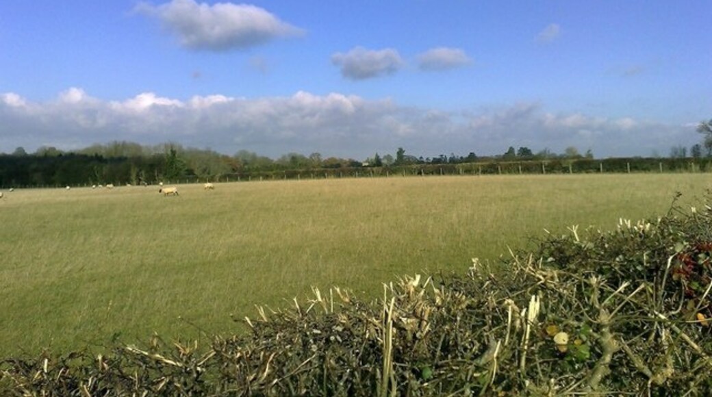 Foto „Thornborough“ von mick finn (CC BY-SA)/zugeschnittenes Original