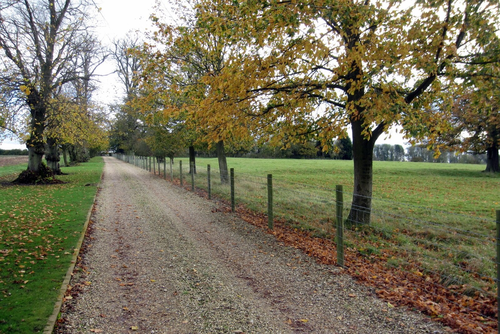 Foto „Thornton“ von Philip Jeffrey (CC BY-SA)/zugeschnittenes Original