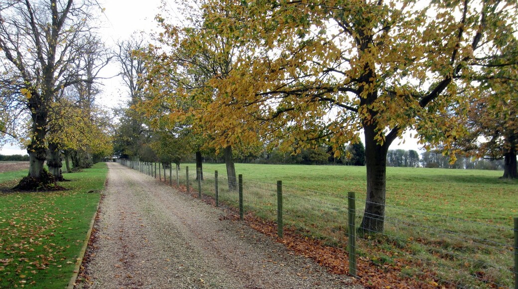 Foto „Thornton“ von Philip Jeffrey (CC BY-SA)/zugeschnittenes Original