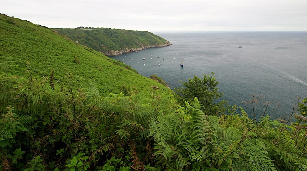 Photo "Sark" by Jan Hazevoet (CC BY) / Cropped from original