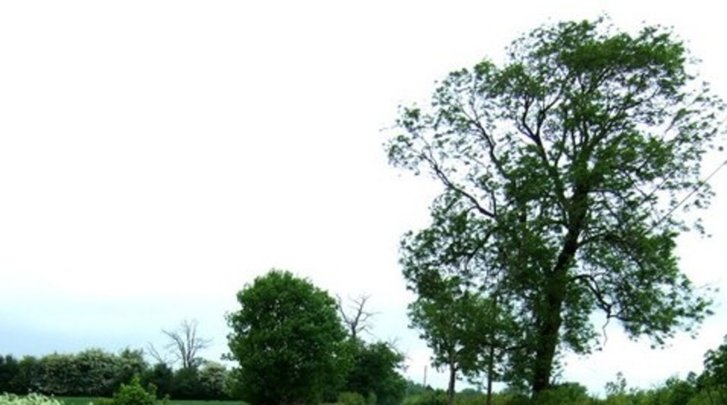 "Great Gaddesden"-foto av Rob Farrow (CC BY-SA) / Urklipp från original