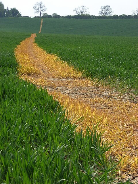 Photo "Nether Winchendon" by Andrew Smith (CC BY-SA) / Cropped from original