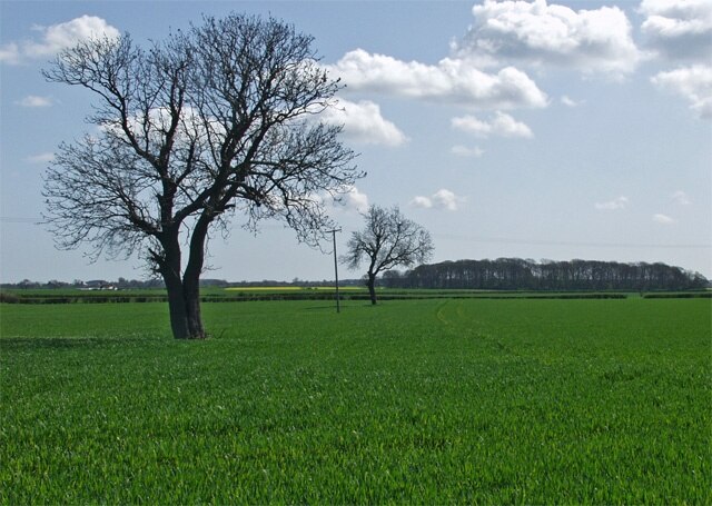 Foto “Routh” tomada por Paul Harrop (CC BY-SA); recorte de la original