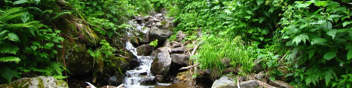 Photo "北海道遠軽町にある行雲の滝。平山と比麻良山の山並み東麓にある。" by pakku (Creative Commons Attribution 3.0) / Cropped from original