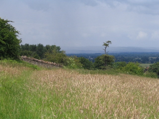 Rain on the way Taken at 12:16 in bright sunshine from the footpath in the hayfield alongside Loton Park (boundary wall on left), the approaching line of grey weather in the middle distance obscures the Welsh hills in the far distance (camera setting 16.2mm focal length). The rain arrived 30 minutes later.