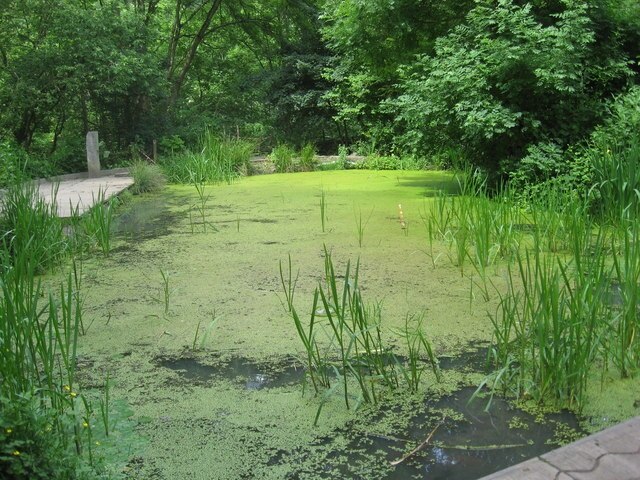 "Oldland"-foto av Dr Duncan Pepper (CC BY-SA) / Urklipp från original
