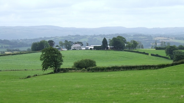 Farmland east of Penuwch, Ceredigion The Elenydd hills dominate the skyline about seven miles distant, beyond the Teifi Valley and Llanddewi-Brefi.