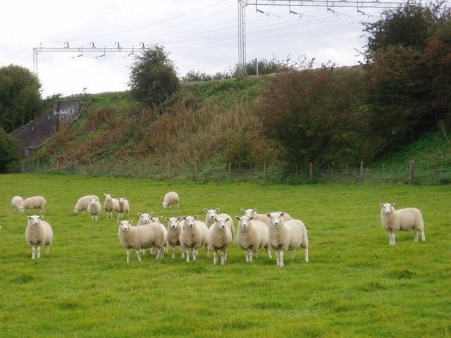 "Castlethorpe"-foto av D J Cook (CC BY-SA) / Urklipp från original