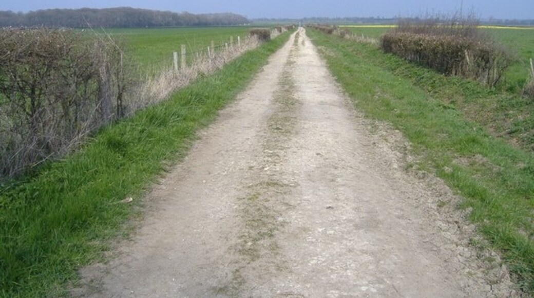 Foto "St. Paul Malmesbury Without" por Roger Cornfoot (CC BY-SA) / Recortada de la original