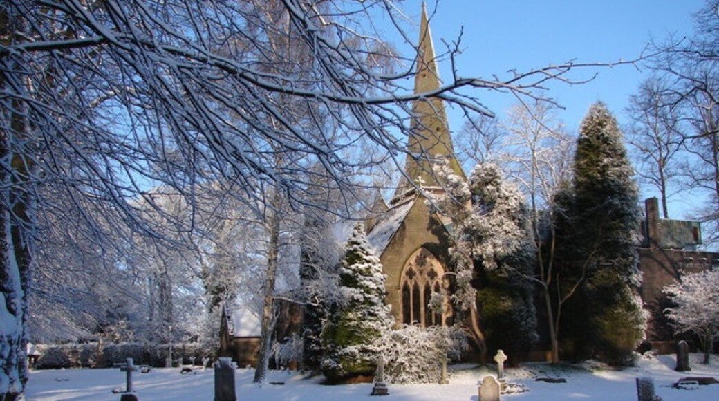 Photo "Boldmere" by John Proctor (CC BY-SA) / Cropped from original