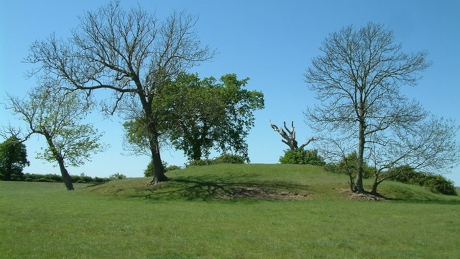 Photo "Thorndon Country Park South, Brentwood This group of trees surround a mound which is approximately 3 - 4 metres high. It is not marked as a feature on the OS map, and looks as if it is man made." by Robin Lucas (Creative Commons Attribution-Share Alike 2.0) / Cropped from original