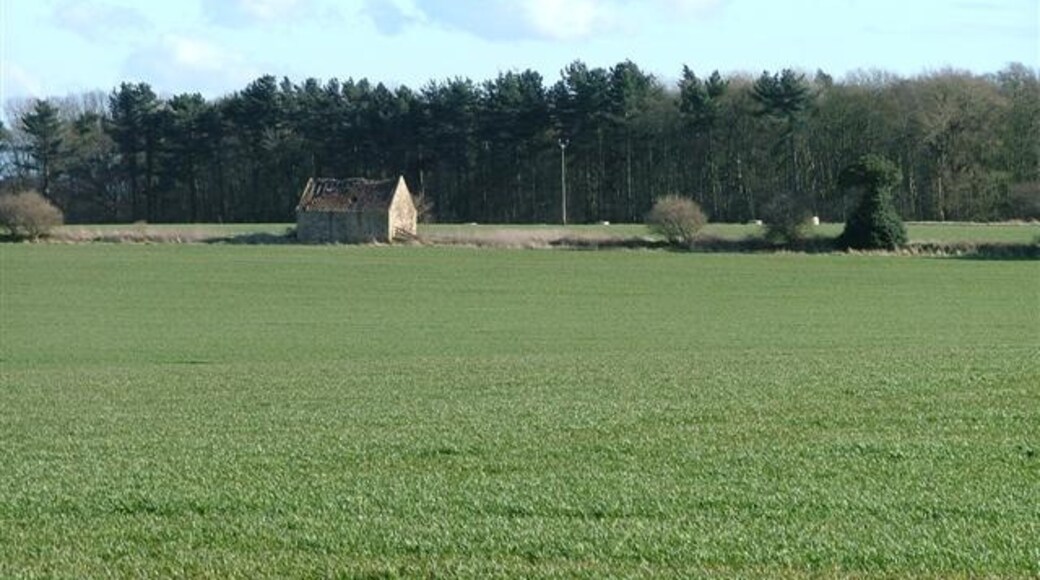 Foto "Heighington" por Mick Garratt (CC BY-SA) / Recortada de la original