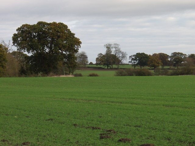 "Cockshutt"-foto av John Haynes (CC BY-SA) / Urklipp från original