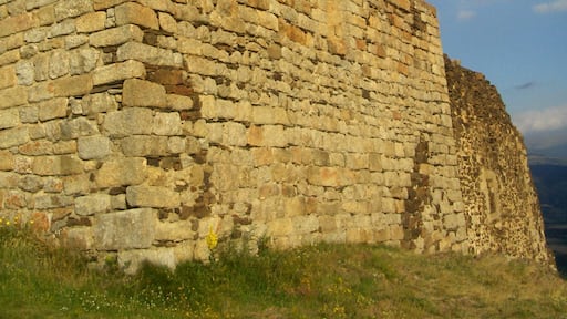 صورة "دوريس" بعدسة SMP (CC BY-SA)/مقصوصة من الصورة الأصلية