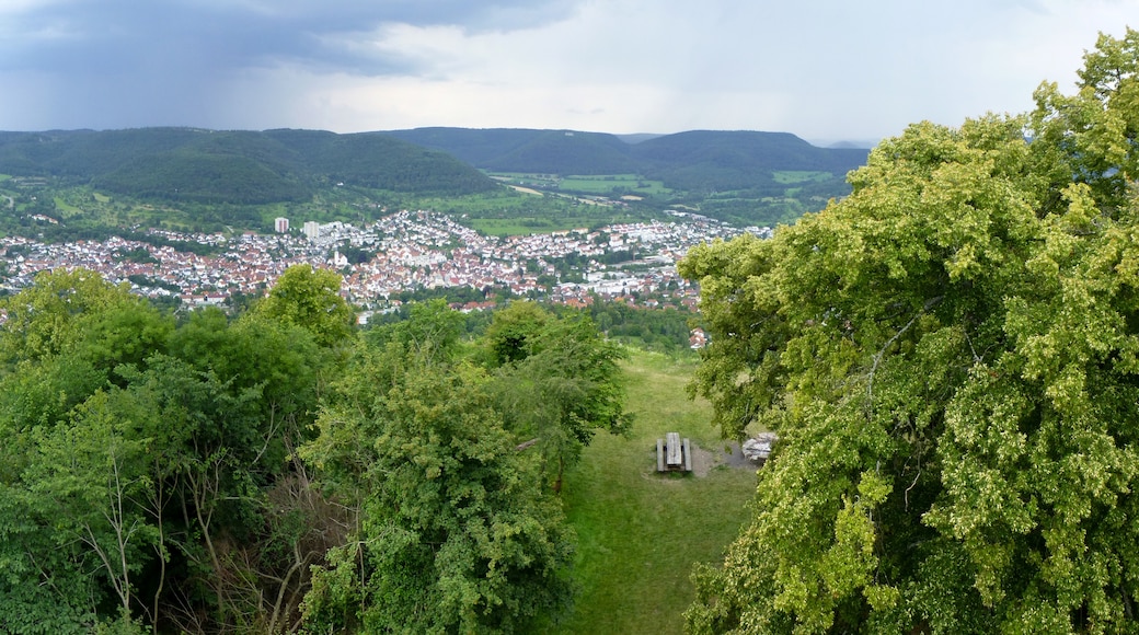 Photo "Reutlingen" by Muck50 (CC BY-SA) / Cropped from original