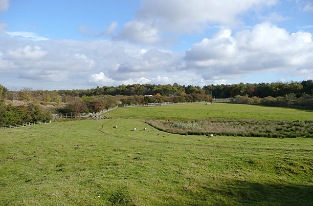 Grazing land by the M6 near Penkridge, Staffordshire This is the landscape seen from Longford Lock on the Staffordshire and Worcestershire Canal. The motorway crosses the scene in front of the far woodland.