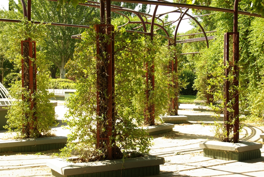 ® M.D. ALCORCON PARQUE LOS CASTILLOS_PÉRGOLA ◙