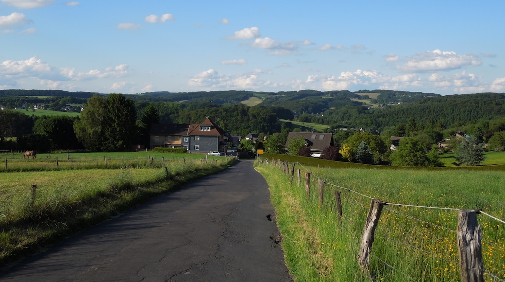 Photo "Bergisch Gladbach" by Derstuff (page does not exist) (CC BY-SA) / Cropped from original