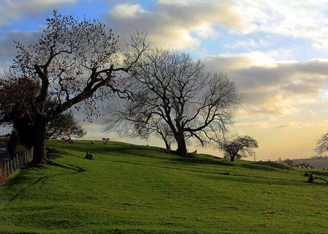 "Västra Harlsey"-foto av Paul Buckingham (CC BY-SA) / Urklipp från original