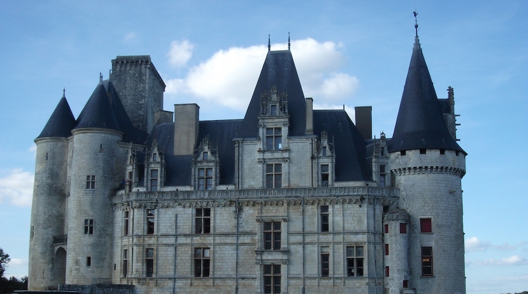 Foto "Château de la Rochefoucauld" de Rslr22 (page does not exist) (CC BY-SA) / Recortada do original