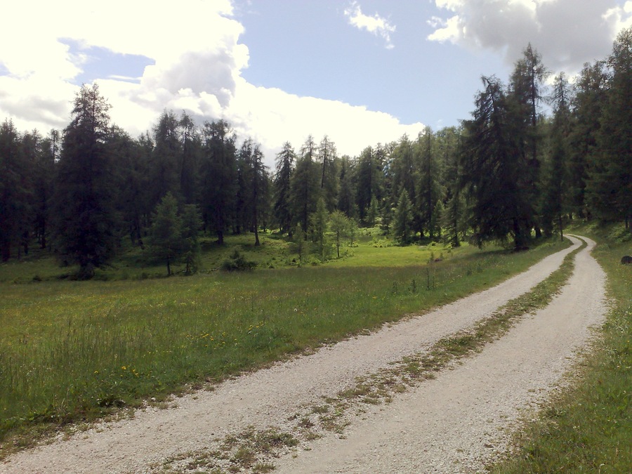 Verso Anterivo