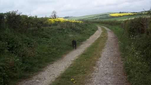 Photo "Bowerchalke" by Trish Steel (CC BY-SA) / Cropped from original