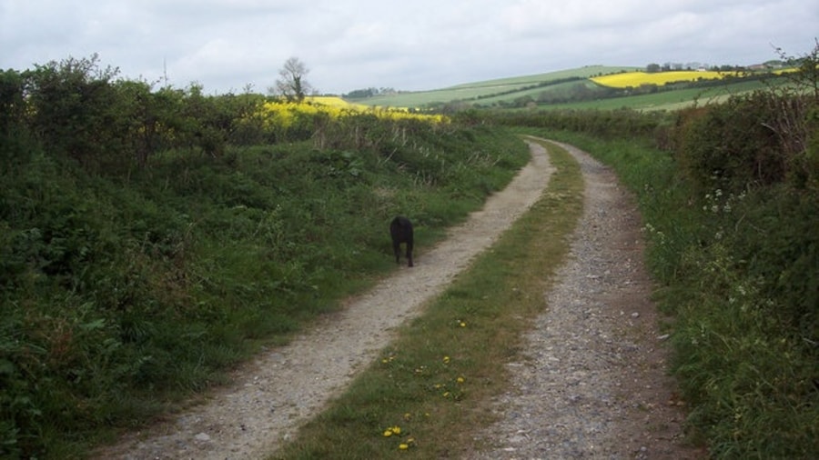 Photo "Bridleway near Bowerchalke" by Trish Steel (Creative Commons Attribution-Share Alike 2.0) / Cropped from original