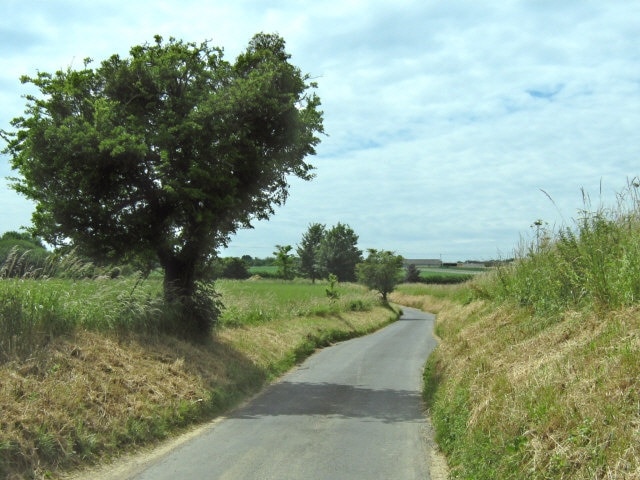 Lane south of Barrington