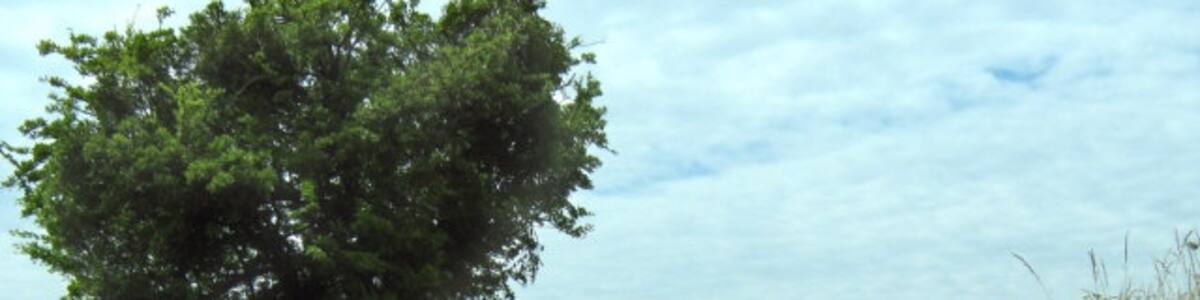 Photo "Lane south of Barrington" by Ken Grainger (Creative Commons Attribution-Share Alike 2.0) / Cropped from original
