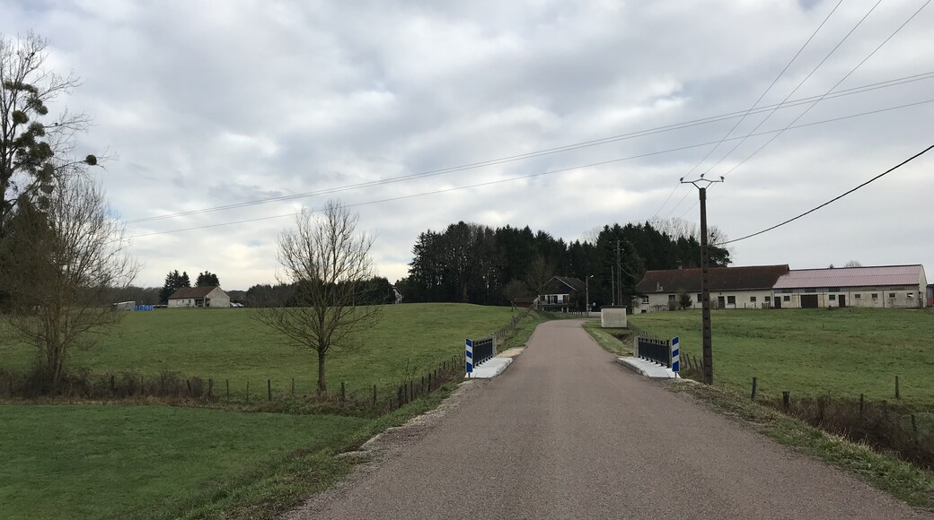 Photo "Chêne-Bernard" by Benoît Prieur (CC BY-SA) / Cropped from original