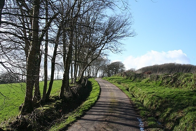 Southleigh: lane to Blackberry Castle Looking west-north-west with the Iron Age fort hidden under the wood on the right