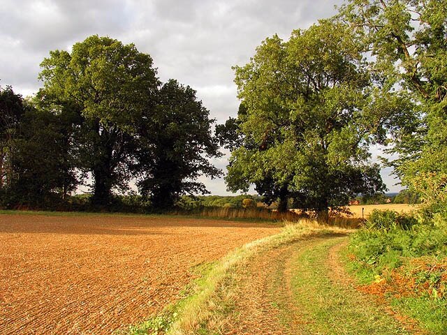 "West Woodhay"-foto av Pam Brophy (CC BY-SA) / Urklipp från original
